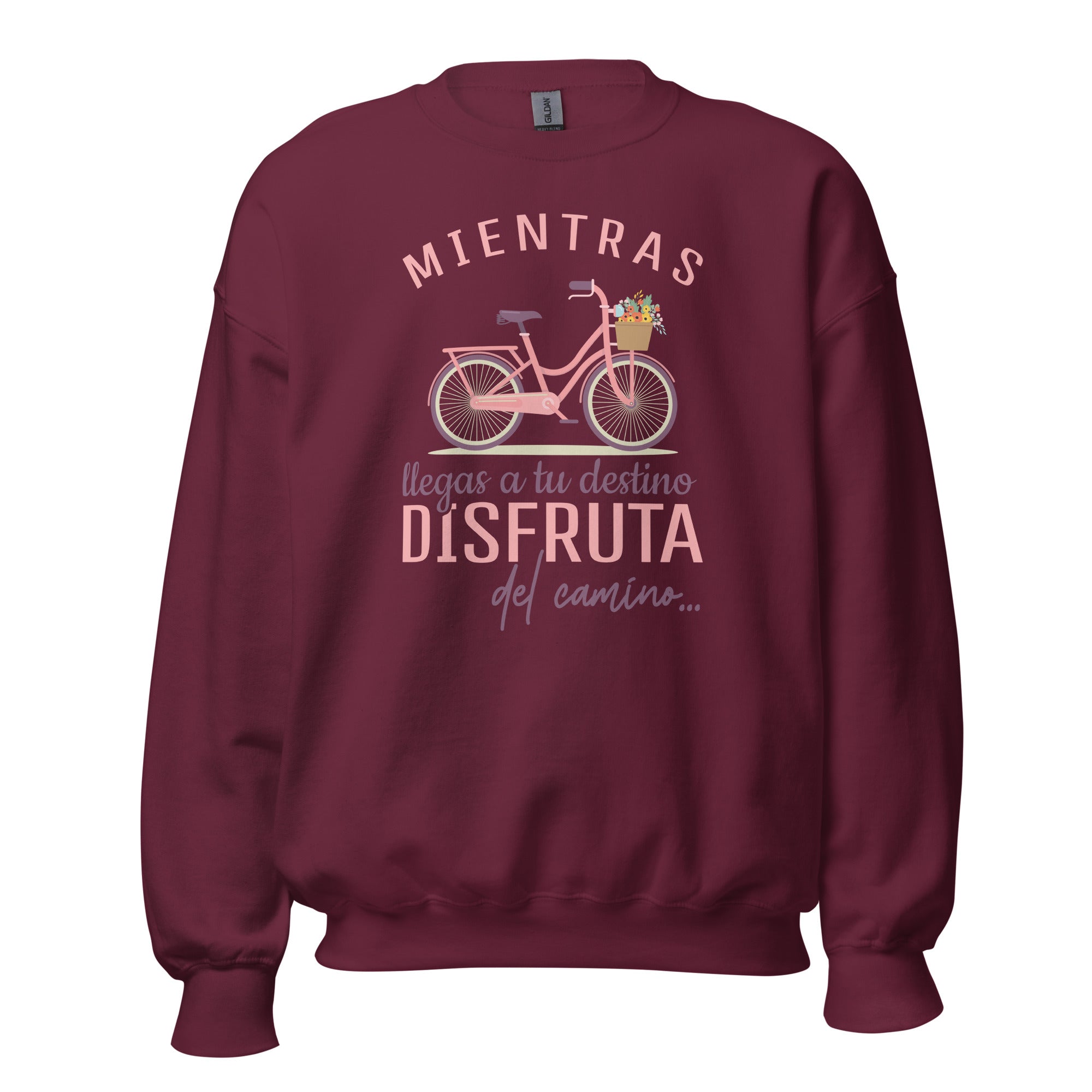 Sudadera unisex bicycle - Print Ediciones